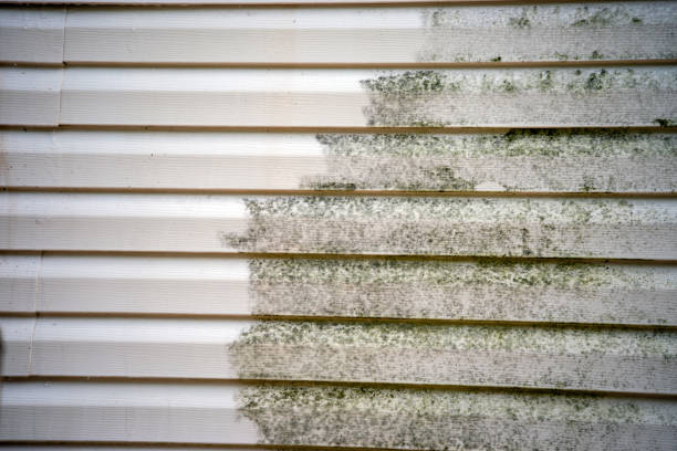 Best Siding Removal and Disposal  in Val Verde, CA