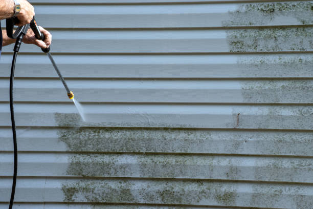 Best Residential Vinyl Siding Installation  in Val Verde, CA