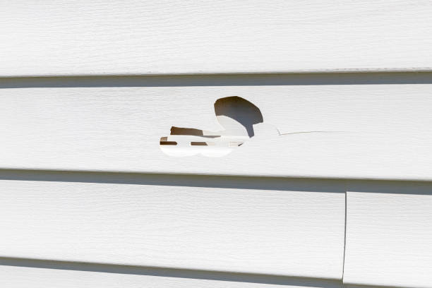 Best Custom Siding Design  in Val Verde, CA