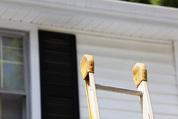 Best Custom Trim and Detailing for Siding  in Val Verde, CA